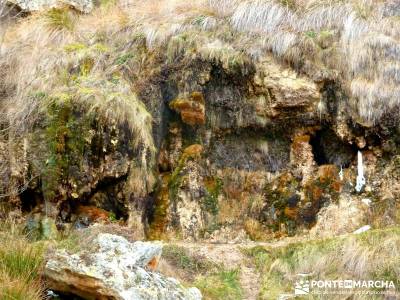 Hoces y cañones del Río Piedra y del Río Gallo -- Laguna Gallocanta - excursiones y senderismo;se